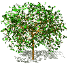 Information about property types: Plots of land