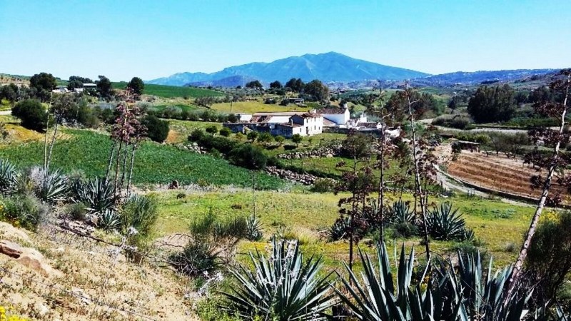 Cortijos, Parcela en venta Consult