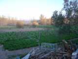 Land 2
