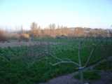 Land 3