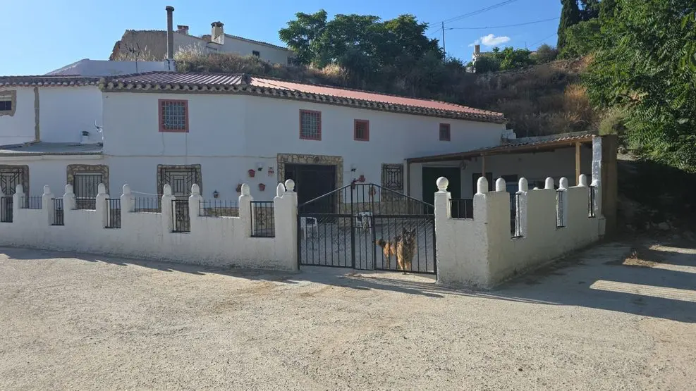 v3170 Carramaiza, Granada