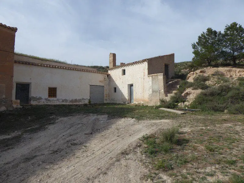 video image