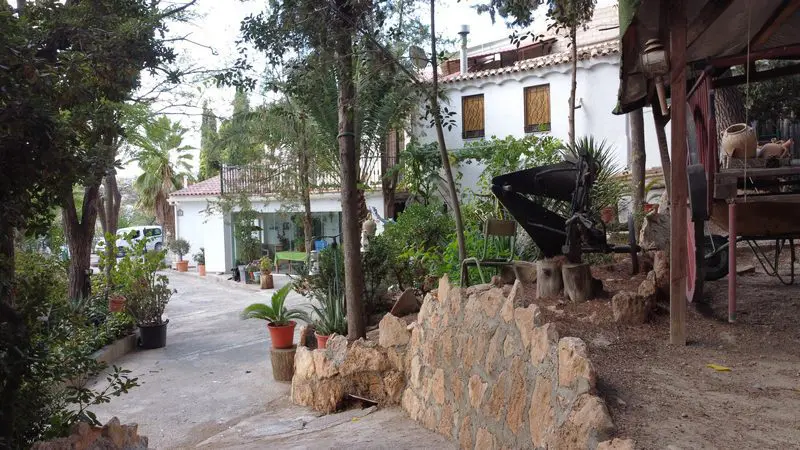 v2895 Caniles, Granada
