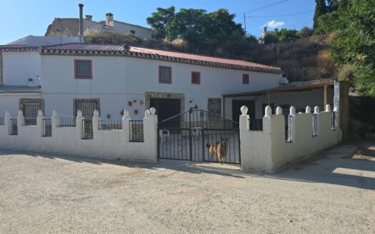 v3170 Carramaiza, Granada