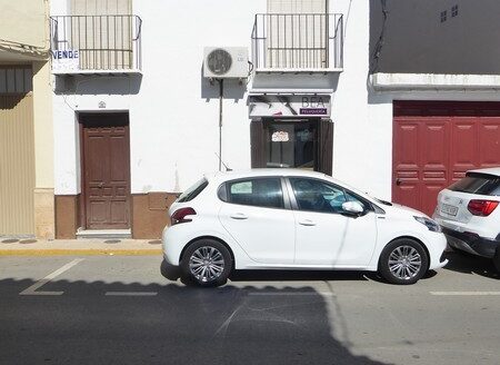 v2501 Caniles, Granada