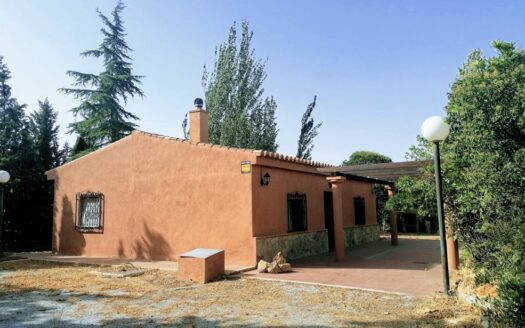 v3091 Baza, Granada