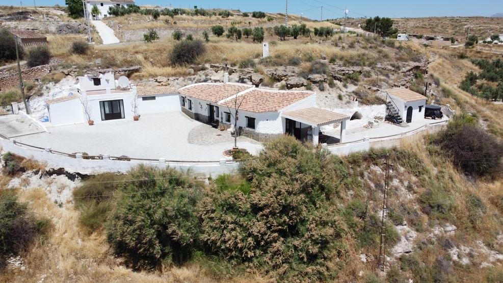 video image