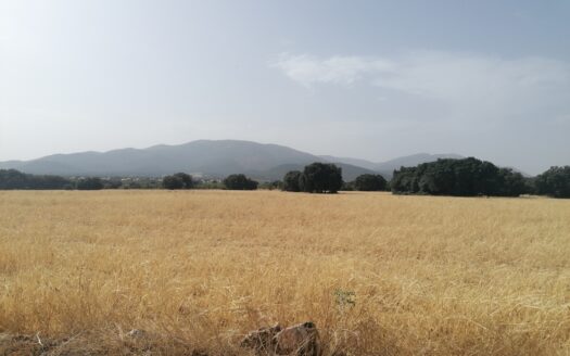 V3176, Baza, Granada
